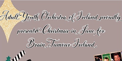 Hauptbild für Christmas in June for Brain Tumour Ireland