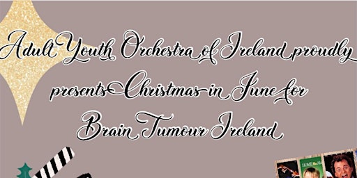 Christmas in June for Brain Tumour Ireland