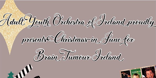 Christmas in June for Brain Tumour Ireland