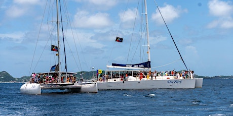 FLEET All Inclusive Catamaran Day Cruise primary image