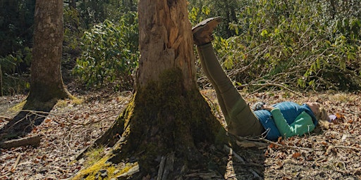 Imagem principal do evento Forest Bathing @ the NC Arboretum