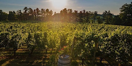 Couples Retreat in the Vines