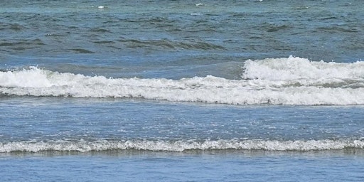 Image principale de 4 Day Yoga with Holistic Healings Beach Retreat in N. Myrtle Beach, SC