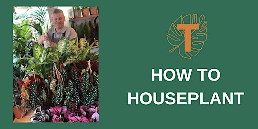 Primaire afbeelding van How to Houseplant