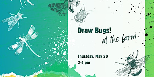 Imagem principal de Draw Bugs! at the Farm