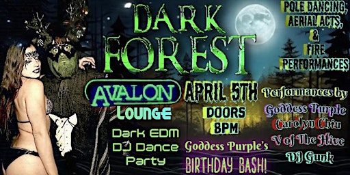 Dark Forest At Avalon Lounge primary image