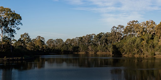 NaturallyGC: Varsity Wetlands Tree Planting primary image