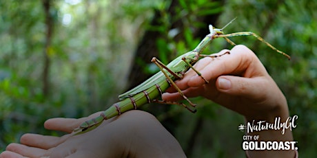 NaturallyGC Kids - Bugs Gone Wild