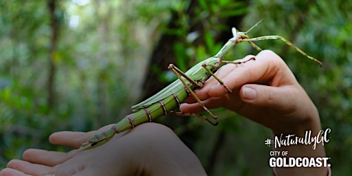 Hauptbild für NaturallyGC Kids - Bugs Gone Wild