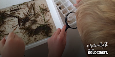 Primaire afbeelding van NaturallyGC Kids -Waterbugs Under the Microscope