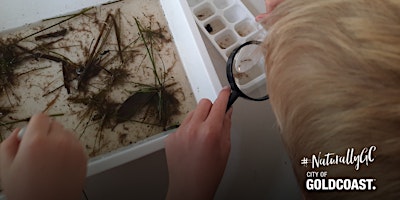 Imagem principal do evento NaturallyGC Kids -Waterbugs Under the Microscope