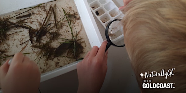NaturallyGC Kids -Waterbugs Under the Microscope