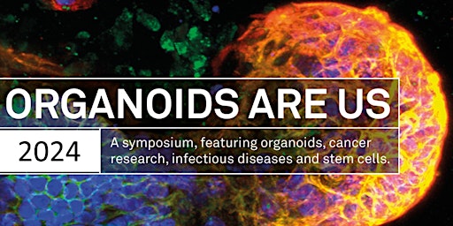 Imagem principal de Organoids Are Us 2024