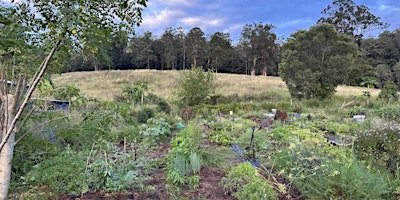 Imagem principal de Mary Valley Country Harvest Co-Op Farm Visit