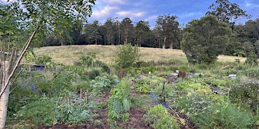 Imagem principal de Mary Valley Country Harvest Co-Op Farm Visit