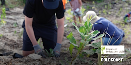 NaturallyGC: Friends of Federation Walk- Tree Planting