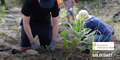 Imagem principal do evento NaturallyGC: Friends of Federation Walk- Tree Planting