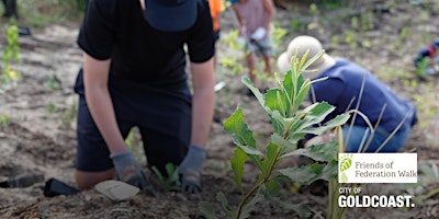 NaturallyGC: Friends of Federation Walk- Tree Planting primary image