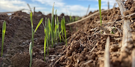 Soils, decision making and what’s next? primary image