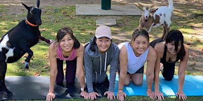 Primaire afbeelding van Goat Yoga in the Park - April  7th at 9:00am