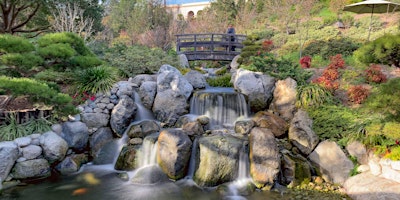 Tour of The Japanese Friendship Garden at Balboa Park primary image