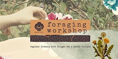 Primaire afbeelding van Beginners Foraging Taster Workshop