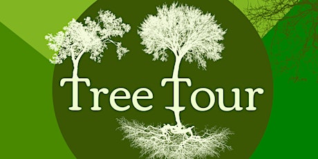 Tree Week - Tremendous Trees Tour primary image