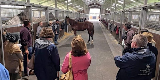 Imagem principal do evento Scone Horse Festival HTBA Thoroughbred Stud Tour 2