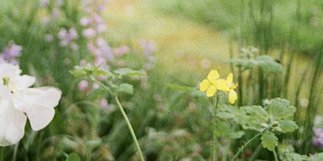 On A Flower Farm - VOL. 2: Spring