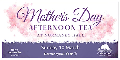 Mother's Day Afternoon Tea at Normanby Hall Country Park primary image