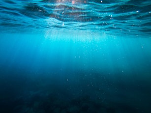 Jellyfish Women's Business Network - Hobsons Bay