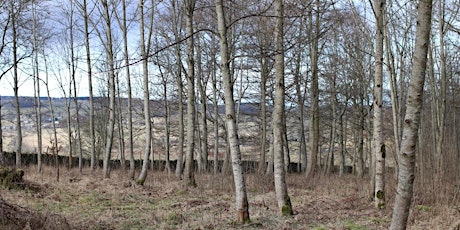 Landscape Perceptions Workshop - Silverdale