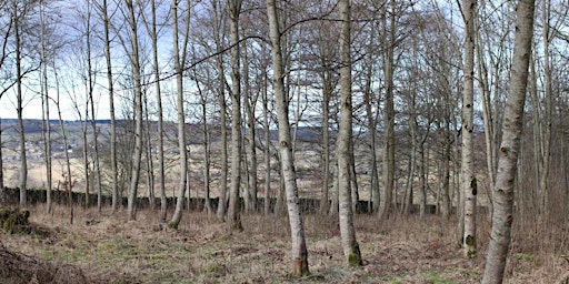 Landscape Perceptions Workshop - Silverdale primary image