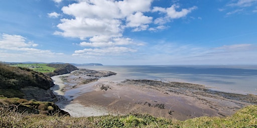 Primaire afbeelding van Somerset Coast - Day 6: Watchet to Minehead