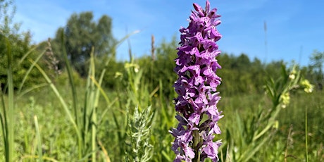 Nene Valley Youth Rangers