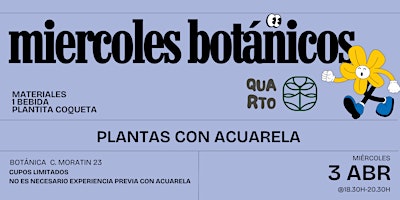 Miércoles Botánicos - Plantas con Acuarela  primärbild