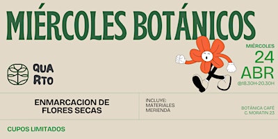 Primaire afbeelding van Miércoles Botánicos - Enmarcación de flores secas