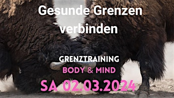 Healthy boundaries connect  primärbild