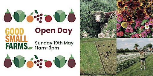 Imagem principal de Good Small Farms Open Day