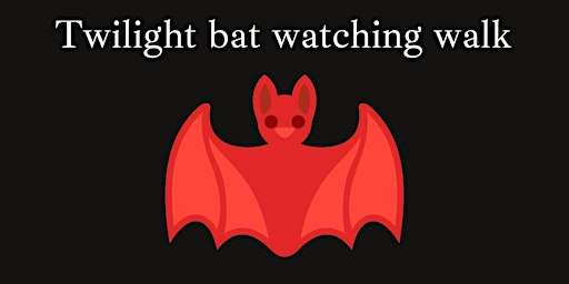 Twilight bat watching walk primary image