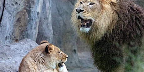 Lincoln Park Zoo Summer Job Fair