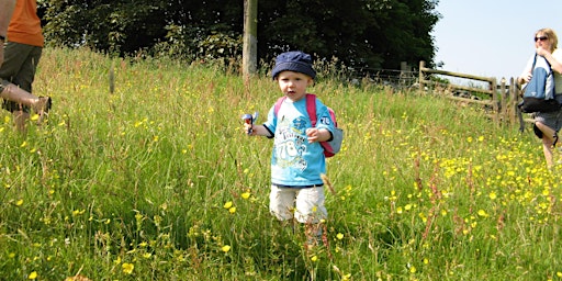 Hauptbild für Basingstoke Wildlife Watch – Spring Flowers in the Meadow