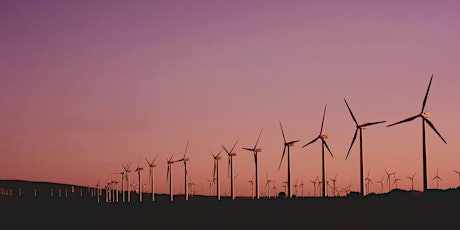 Navigating the Renewable Energy Transition