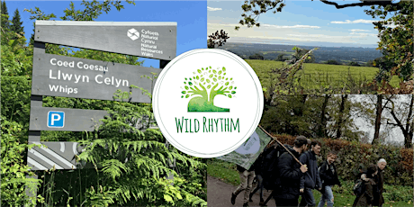 Wild Rhythm: Guided Walk at Llwyn Celyn primary image