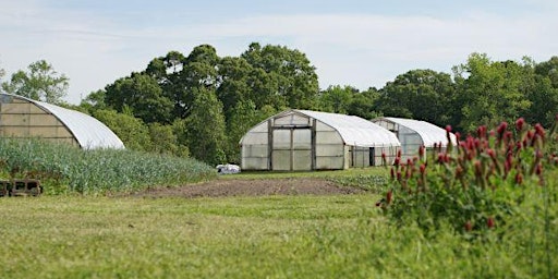 Immagine principale di Cover Crop & Soil Health Demonstration Day: Featuring High Tunnel Garlic 