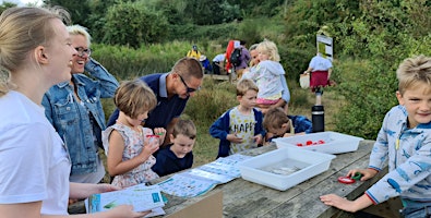 Hinksey Heights Nature Day - Afternoon Pond Dipping! primary image