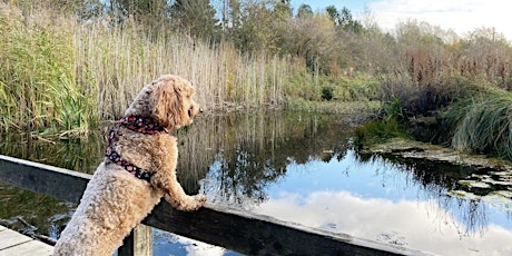 Rising Sun Country Park | North Tyneside | 5km