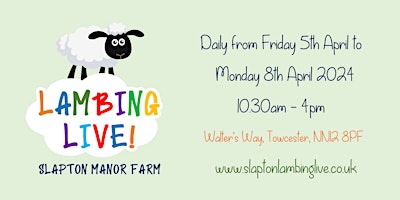 Hauptbild für LAMBING LIVE at Slapton Manor Farm!