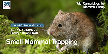 Small Mammal Trapping with Cambridgeshire Mammal Group