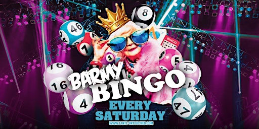 Imagem principal do evento Barmy Bingo